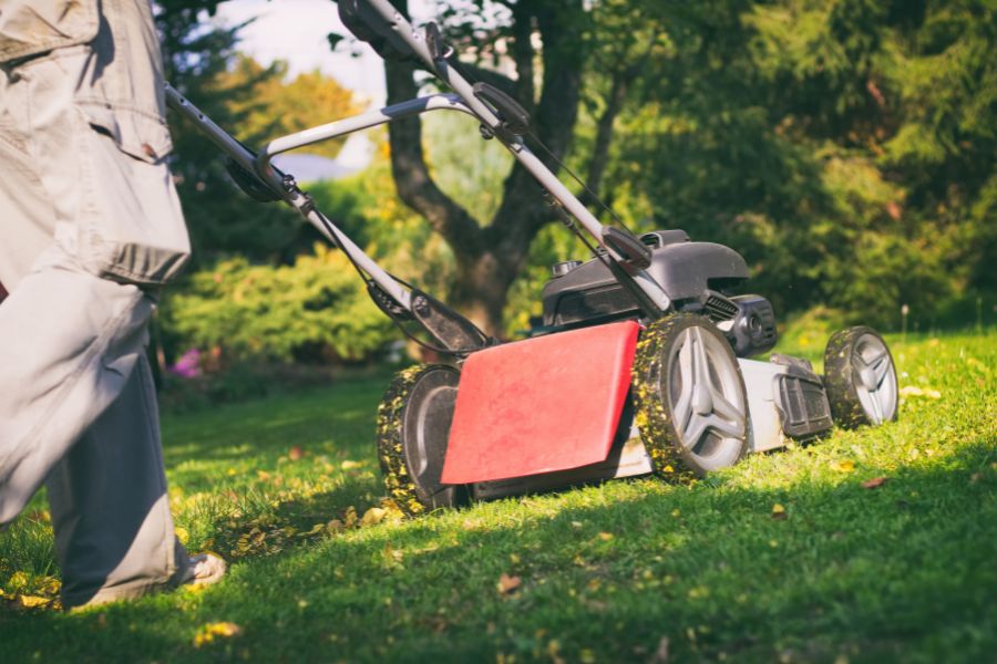 Mulching the lawn with a lawn mower