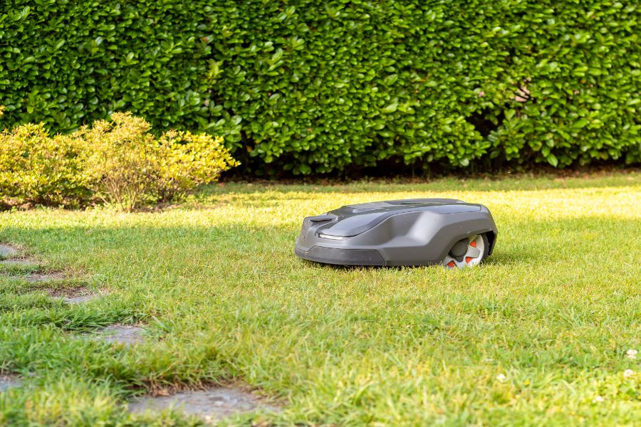 Robotic lawn mower cutting grass in garden