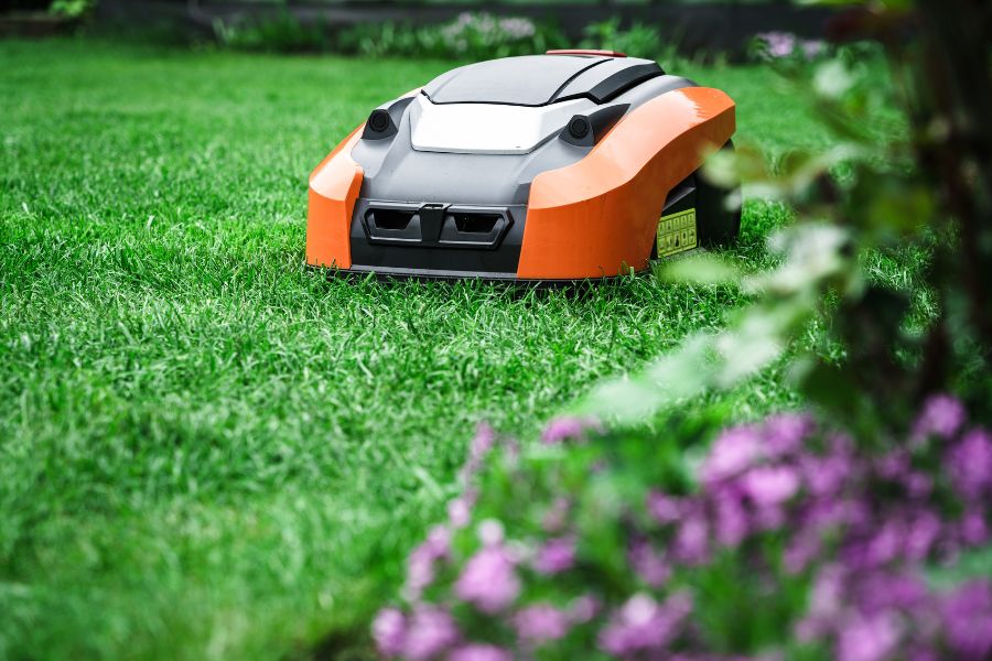 Robotic lawn mower on green grass